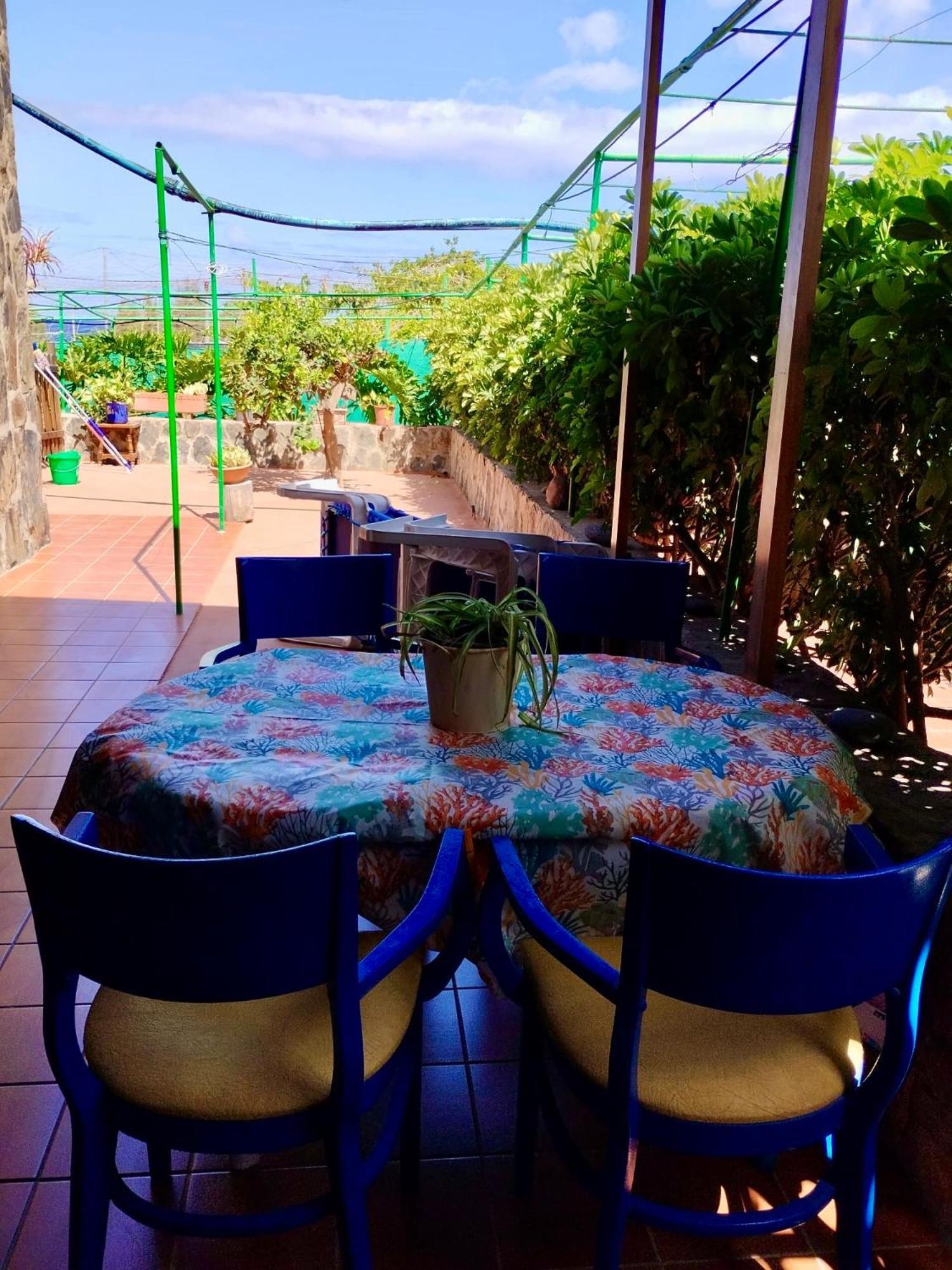 Apartamentos Buen Leon Playa de Tasarte Eksteriør bilde